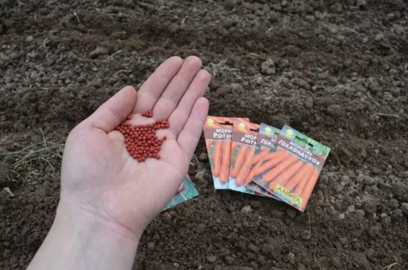 Как правильно сеять морковь под зиму: секреты успеха