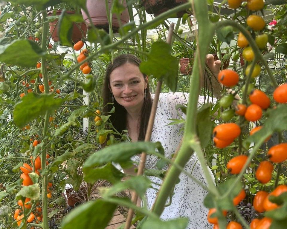 ����� ����� ������: ����� �� �������� ����� ������������� � ������������?