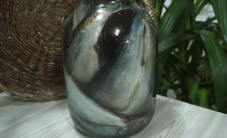 ������� �������� ������� ������: �������� � ���� � ������ �����