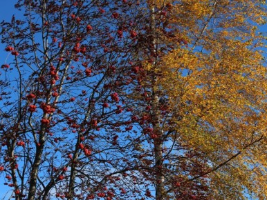 ��� ������� ����� �������� ��� ����������� ���� � ��� ���