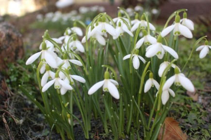 ������ ����� � ���� �� �������: �������� �������� � ����