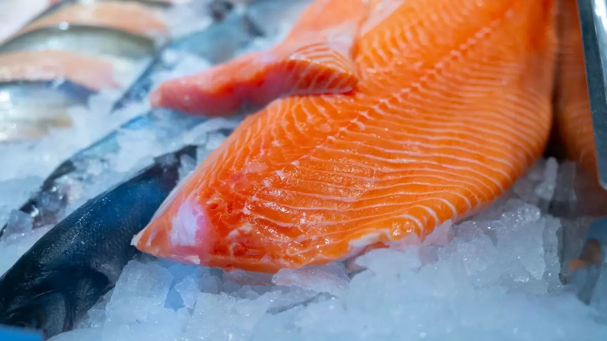 Обилие красной рыбы на Масленицу: россияне могут не переживать