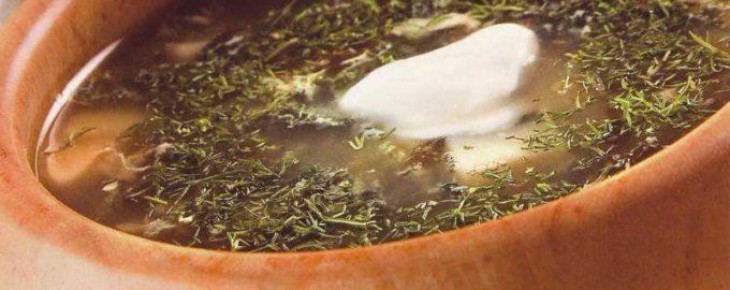 Летние щи с крапивой и щавелем: вернемся к традициям с вкусом свежести