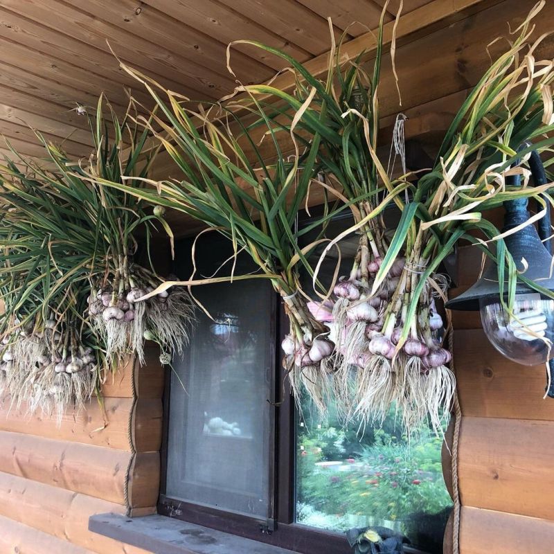 �����������, ��� ��������� �������� ������ ������ � �������� ������� �������