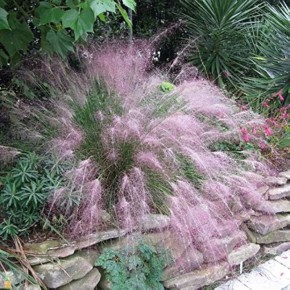 �����������: ����������� ������� � ��� ��� ������ ������� � ����� ����