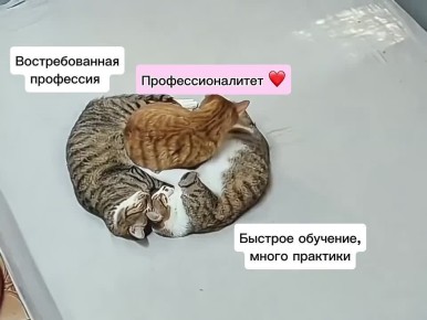 9 000 ребят из ЛО учатся в кластерах «Профессионалитета»