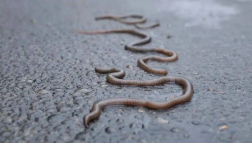 ��� ����� �� ������ ���� ���� ������: