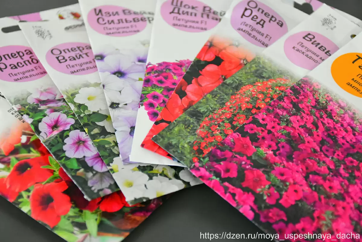 Петунии с Вайлдберриз: как выбрать идеальные ампельные и каскадные сорта для вашего сада