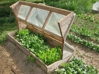 Грядка-гармошка: как устроить мини-огороды на балконе