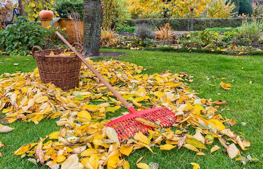 12 ����������� ������, ������ ������ ���� ����� ����� ����� ���� ������