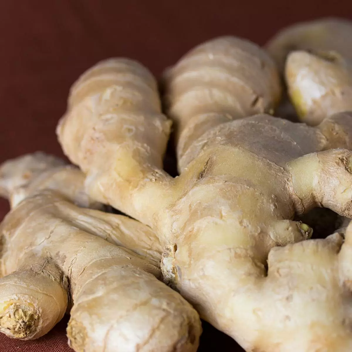 Как вырастить имбирь дома: полезные советы для начинающих