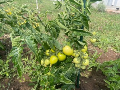 ���������� ������ �������: ������ ��� ���������� � ��� � ���� ������?