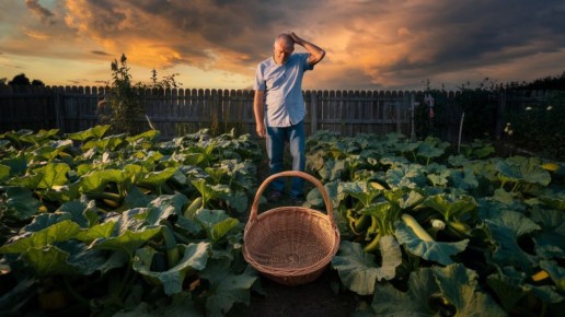 ��� ����� ���� ������� �������� � ������� �������� � ���� ������?