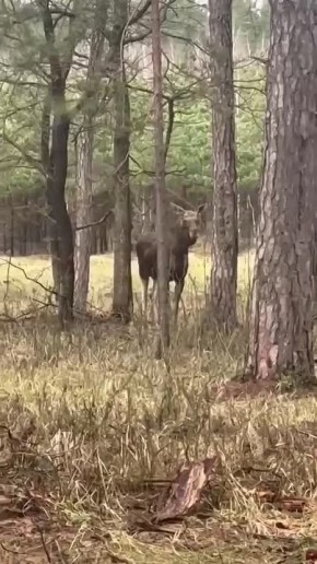 ���� ��� ������� ��� ����� � ��