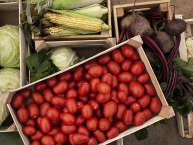 ��� ��������� ����� �����: ������ ������ ��� ������������ ��������