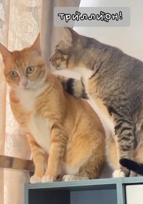 1 000 000 000 000 � ��� �������� ��������