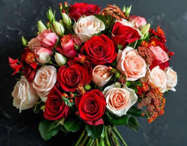 ��� ������� ��������� ����� �� ���� ����������: ������� ���������