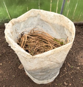 ��������� ����: ������� ������� ������ ������� � ������