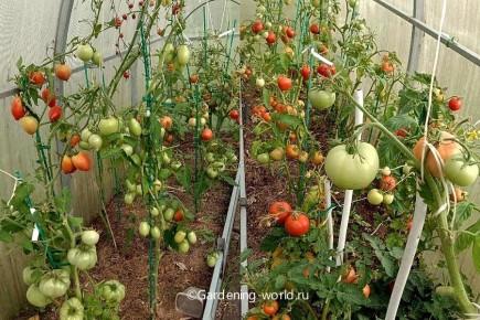 ����� � ��� �������� ��������: �������� ������ ��� ��������� ������