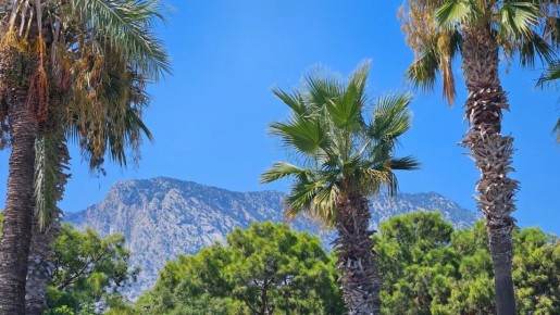 ��� �������� ������� ����� �������� ������������ ������