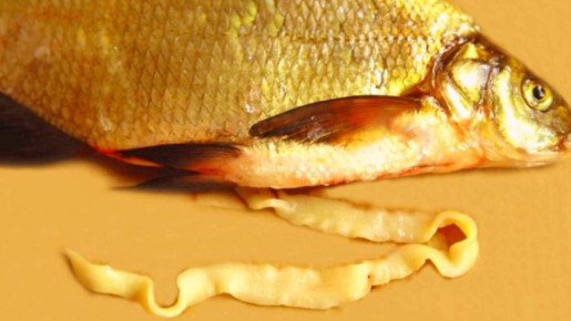 ���������� ����: ��� ����� ����� � ������ � �� ������������ ��� ��������