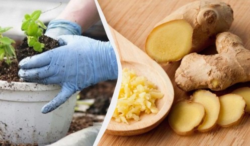 ����������� ������ � �������� ��������: �������� � ������������