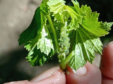 ��� ���������� �������� � ���� �� ���������