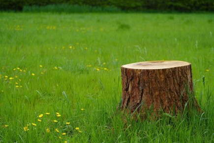 ����� ������ ���������� �� ������� ��� �� ���� ��� ������ ������