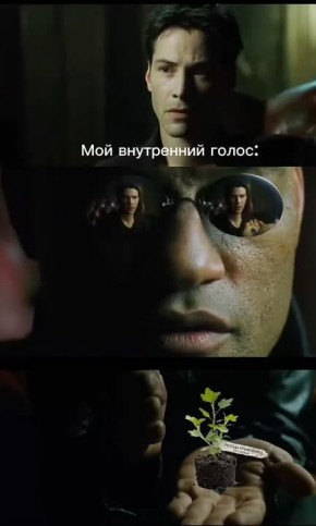 ���� ���� ���� ������� ����������, ��� �������� ���� � ����� �� ����� �����