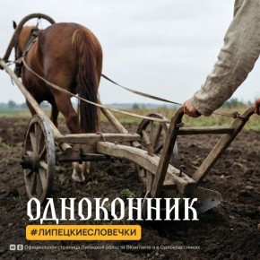 ������� � �� ���� +4�C, �����