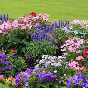 8 ���������������� ����������� ������ ��� ������ ����