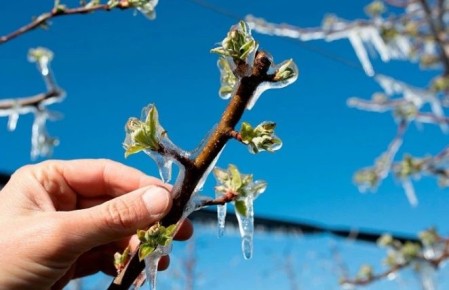 ������ � ���������� ���� � ����������: ��� �� ������ �� ���?