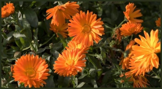 ��������� � ����: ������� ��������� ������ � �����