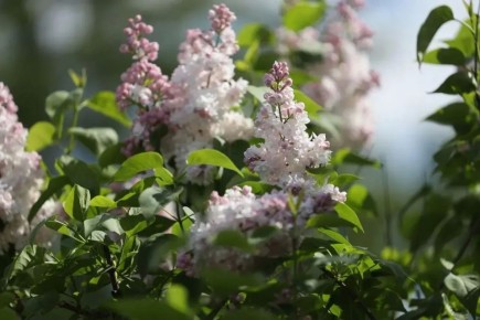 ��������� ���������� ��� ����� �������� ������