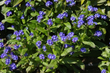 �������� �������: ������ � �� ����� ��������� �����