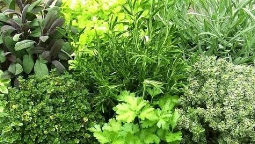 ��� ������� ��������� ��� �������: �������� ������ ��� ������ �������