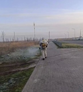 ������� � ����������� ������� ������� ����������� ��������� ���� ������ �����������