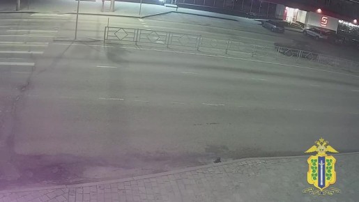� ������� ����������� �������� ���� ����������