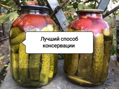 ��� ��������� �������� �������� � ������ ����������