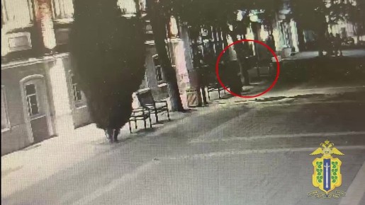 В Ельце сотрудниками полиции установлен подозреваемый в краже сумки, оставленной девушкой на скамейке