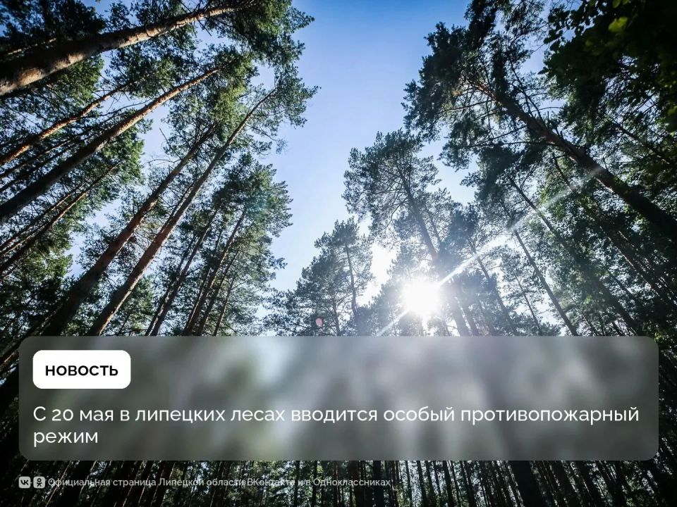 Вместе с жарой в ЛО пришли дополнительные меры безопасности