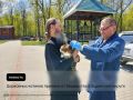 В чужой монастырь со своим уставом можно, если ты задонский ветеринар