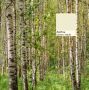 Около +30°С, переменная облачность, возможны грозы – о такой погоде в четверг липчан предупреждают синоптики
