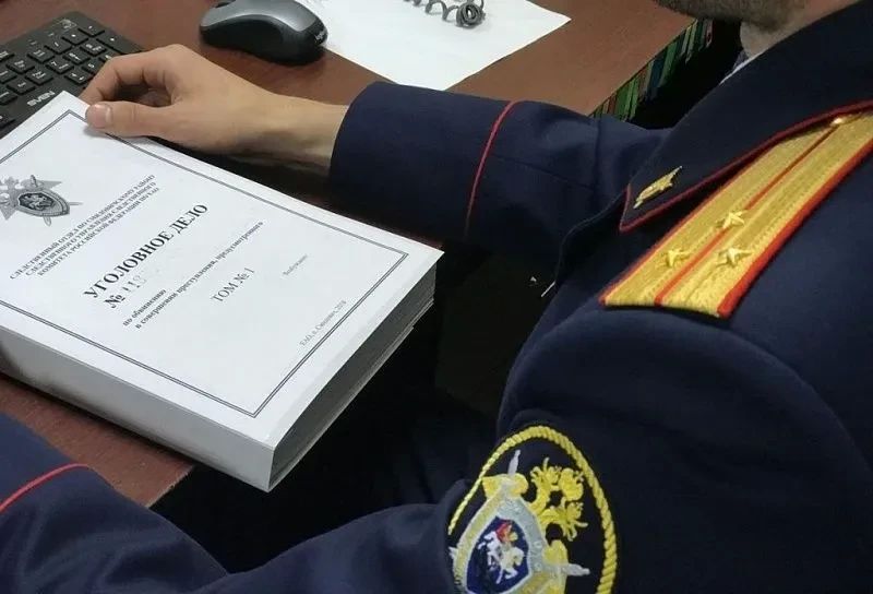 В Липецкой области генеральный директор коммерческой организации обвиняется в уклонении от уплаты налогов в особо крупном размере