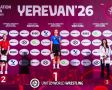 Евгения Уваркина: Блестящая победа на чемпионате Европы по панкратиону!