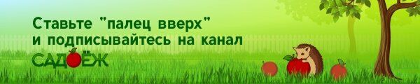 Как использовать палочки для суши в огороде: 5 неожиданных решений
