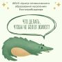 Просто о важном: как избежать кишечной инфекции