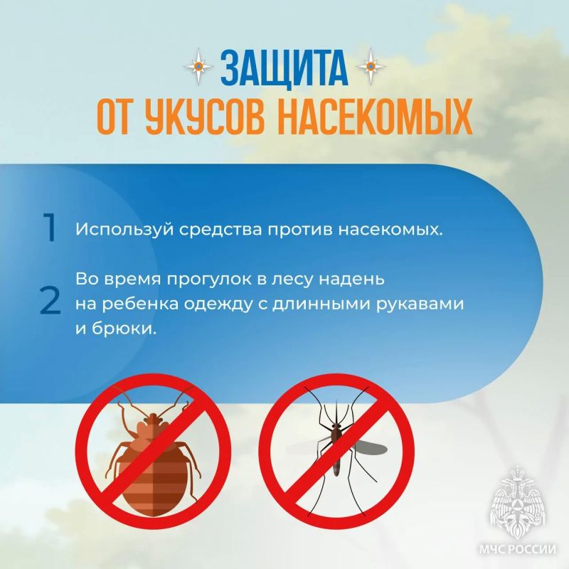 Безопасность детей во время каникул Безопасность детей во время каникул