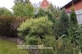 Секреты современного садоводства: как немногочисленные растения помогают создать стильный сад