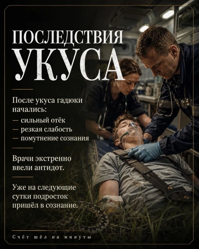 Осторожно: змеи!. За неделю в Липецкую областную детскую больницу поступили двое подростков после укусов змей Осторожно: змеи!. За неделю в Липецкую областную детскую больницу поступили двое подростков после укусов змей